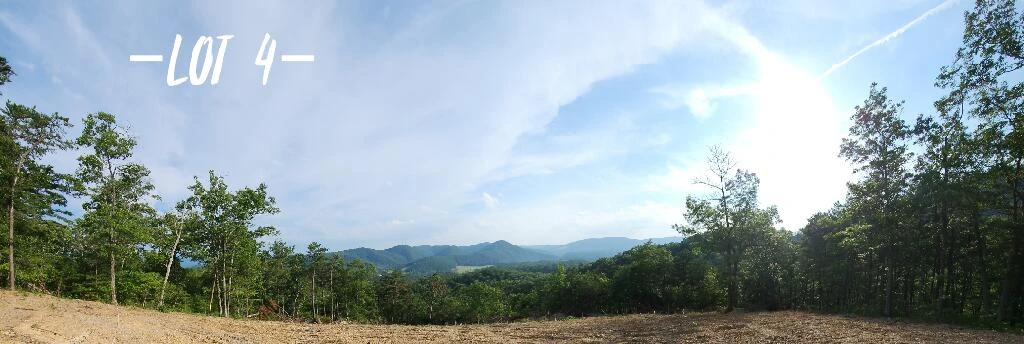 2881 Reese Mountain RD