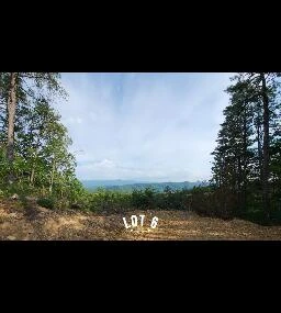 2985 Reese Mountain RD
