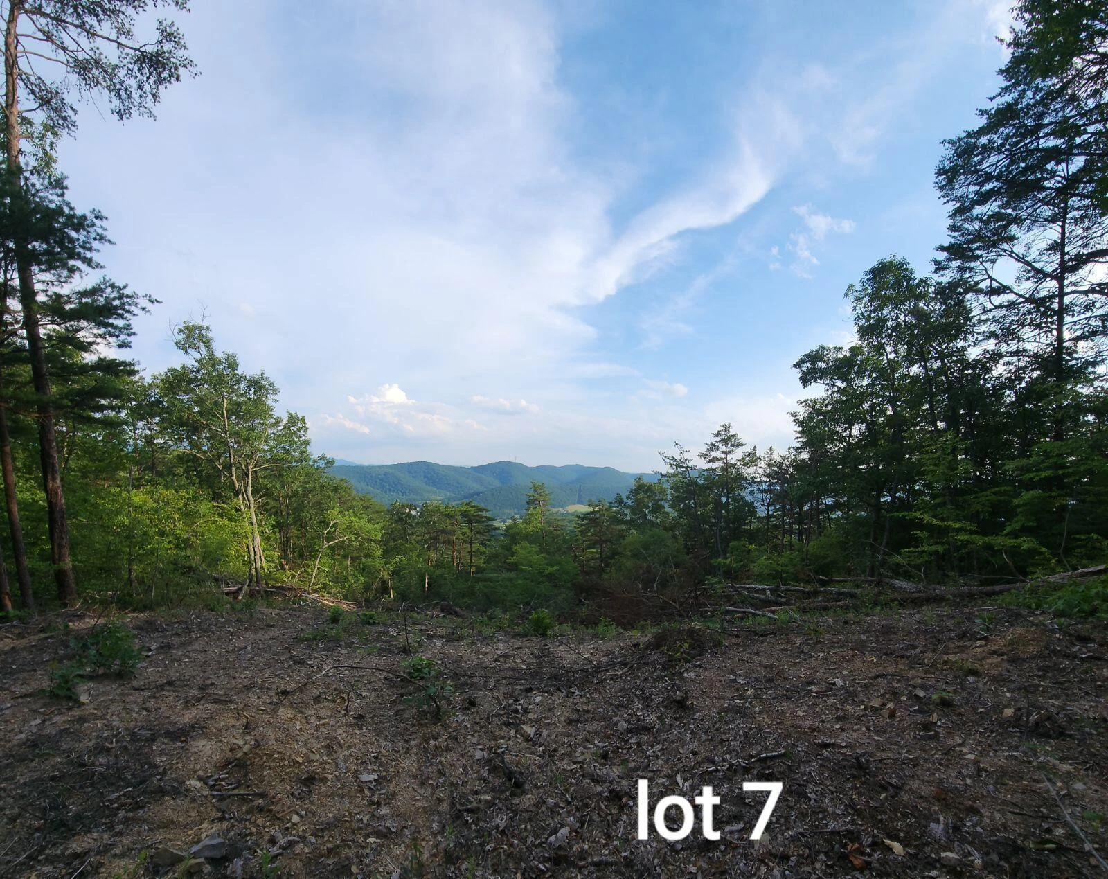 3031 Reese Mountain RD