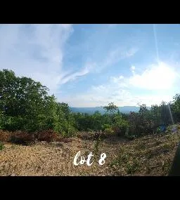3141 Reese Mountain RD, Elliston, VA, 24087