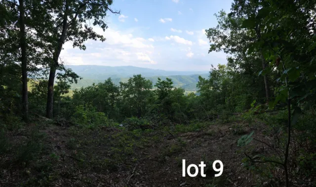 3280 Reese Mountain RD, Elliston, VA, 24087