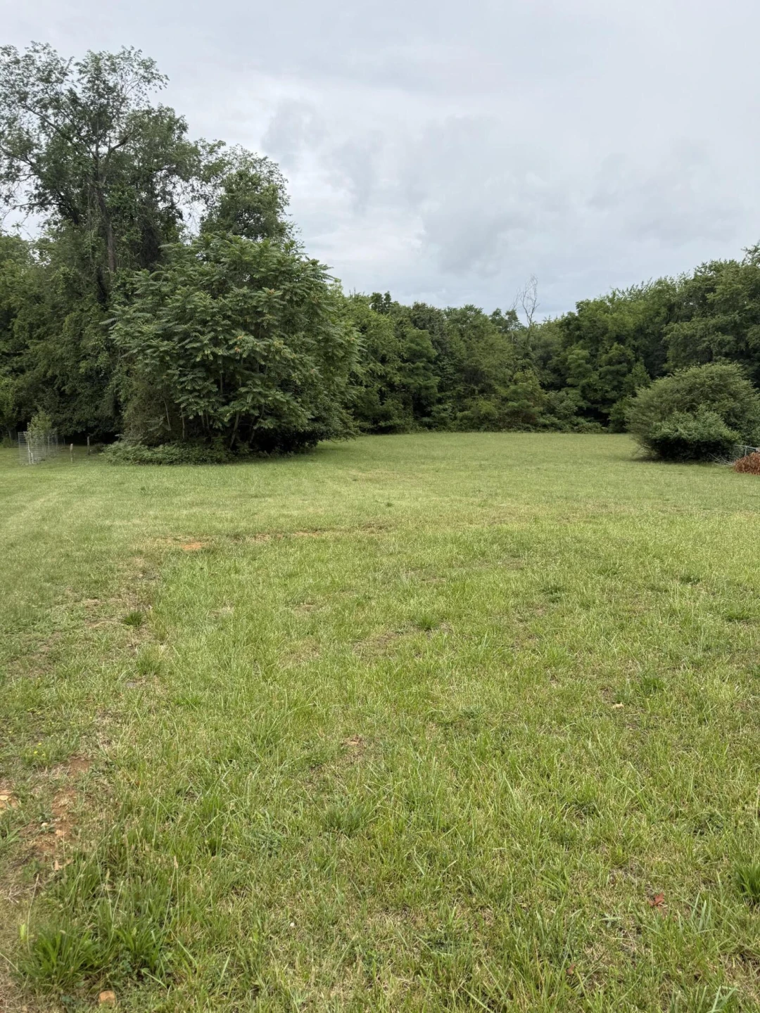 0 Locust Grove LN - Photo 2