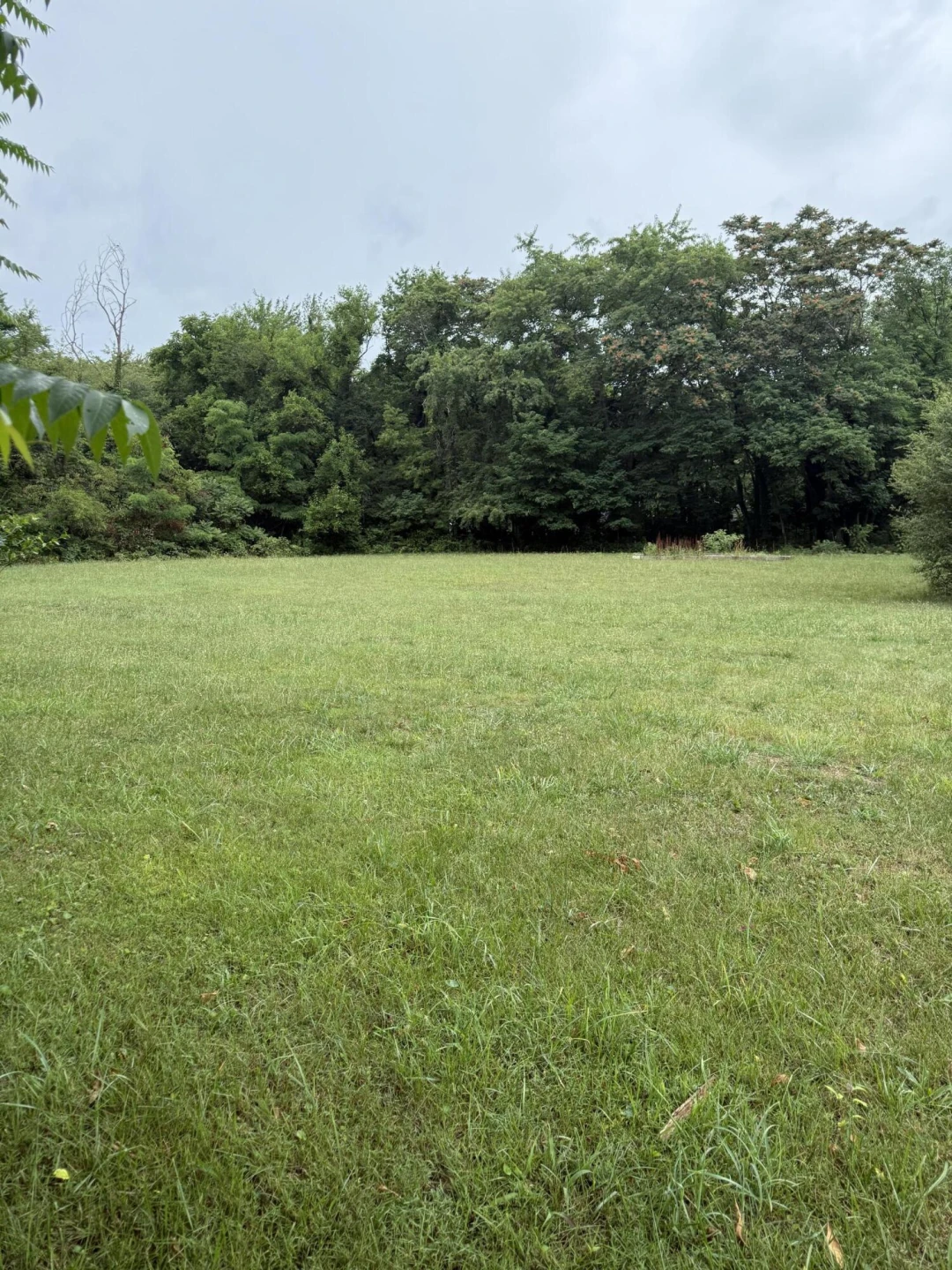 0 Locust Grove LN - Photo 4
