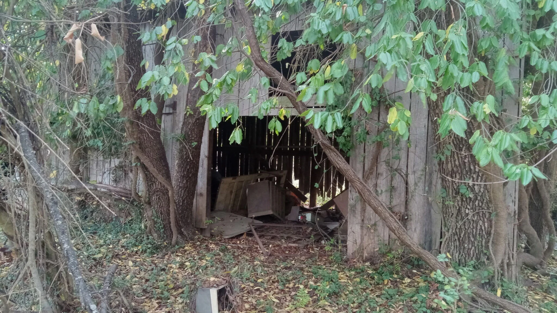 0 Locust Grove LN - Photo 9