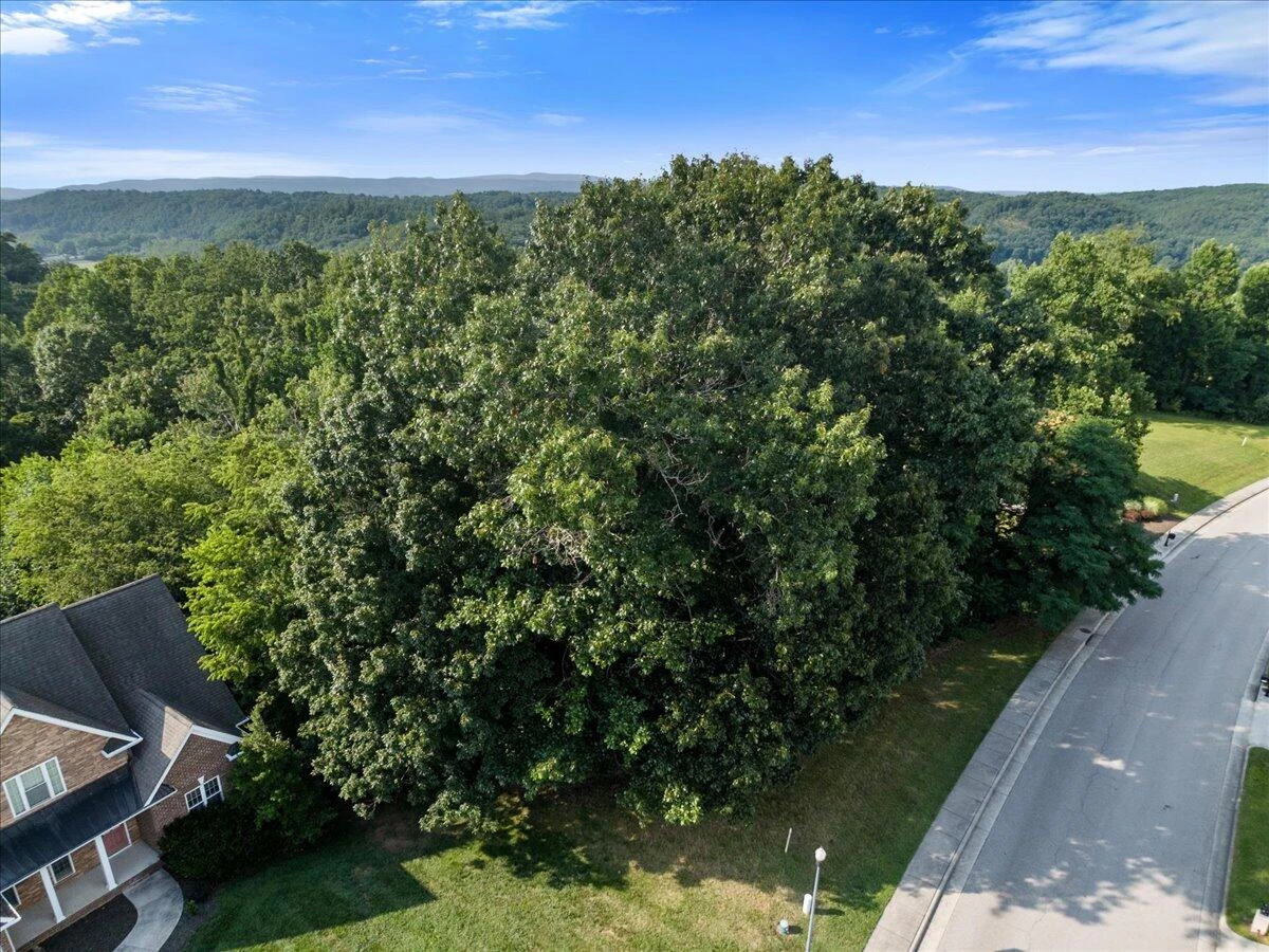 8156 River Course DR - Photo 16