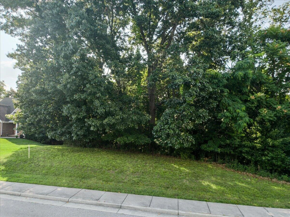 8156 River Course DR - Photo 17