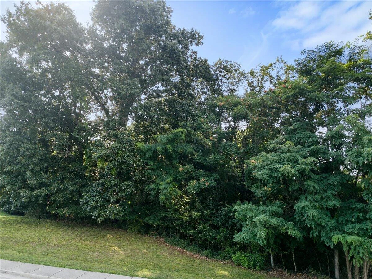 8156 River Course DR - Photo 4