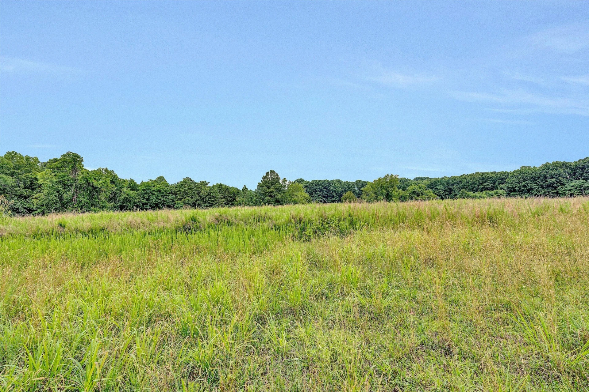 2932 Dickerson Mill RD - Photo 39