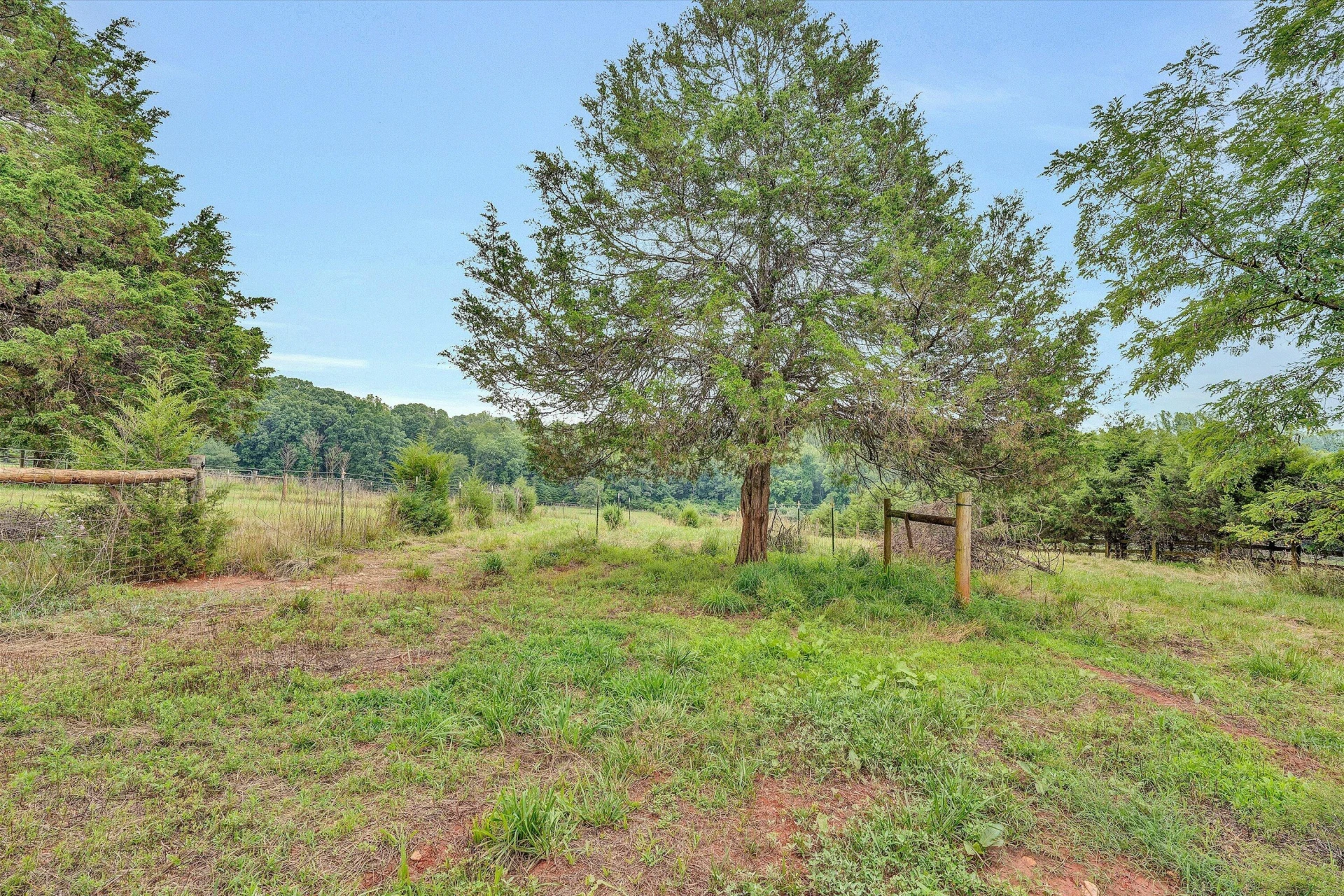 2932 Dickerson Mill RD - Photo 48