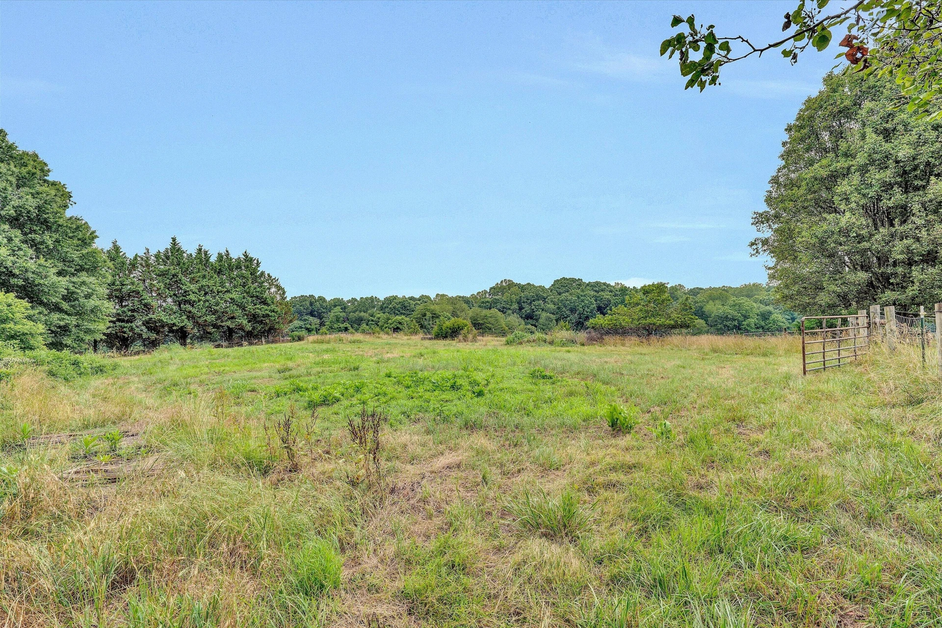 2932 Dickerson Mill RD - Photo 49