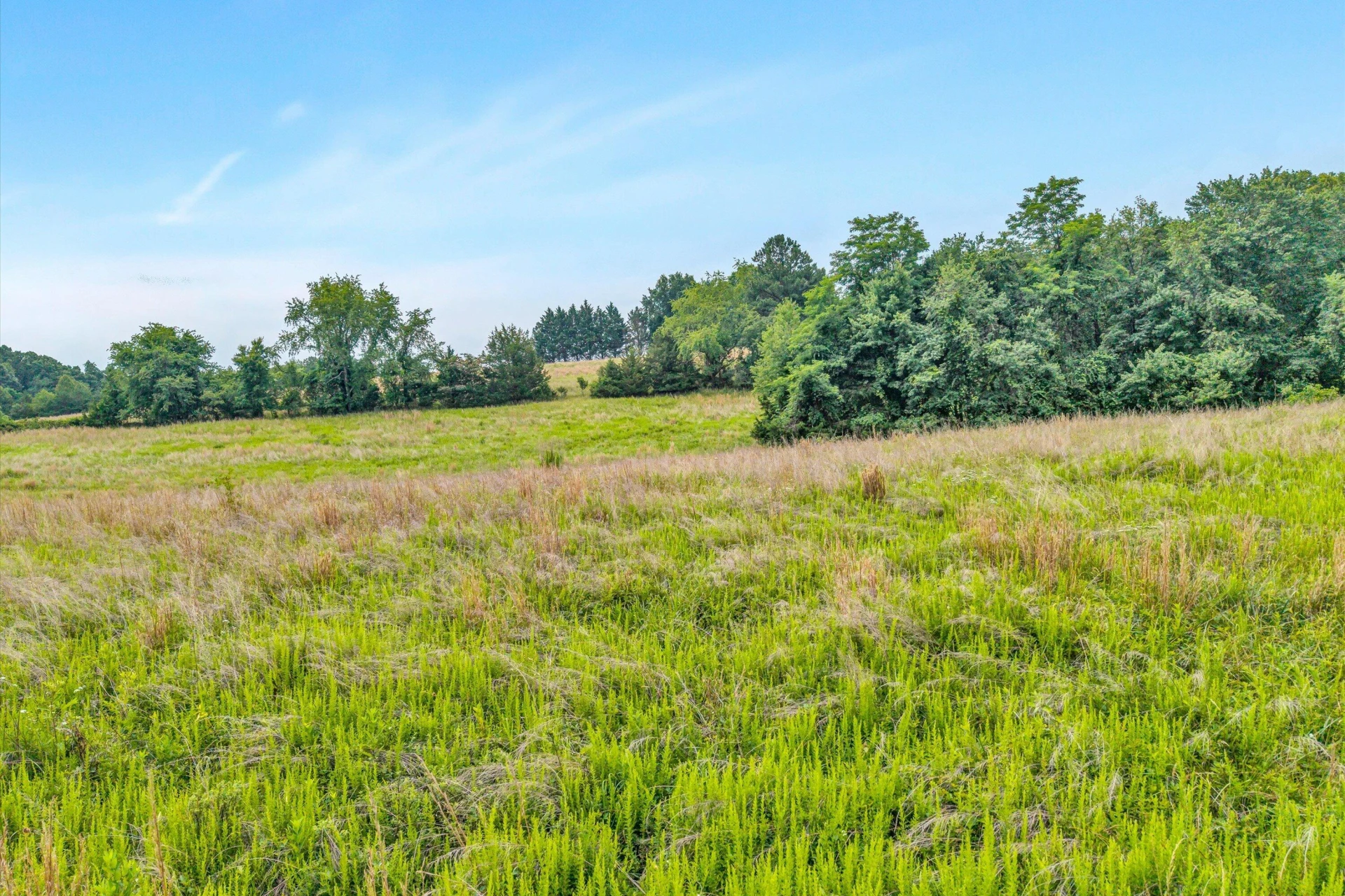2932 Dickerson Mill RD - Photo 57