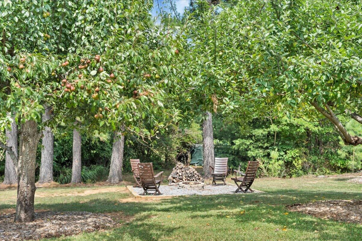 1125 Loyds Store RD - Photo 84