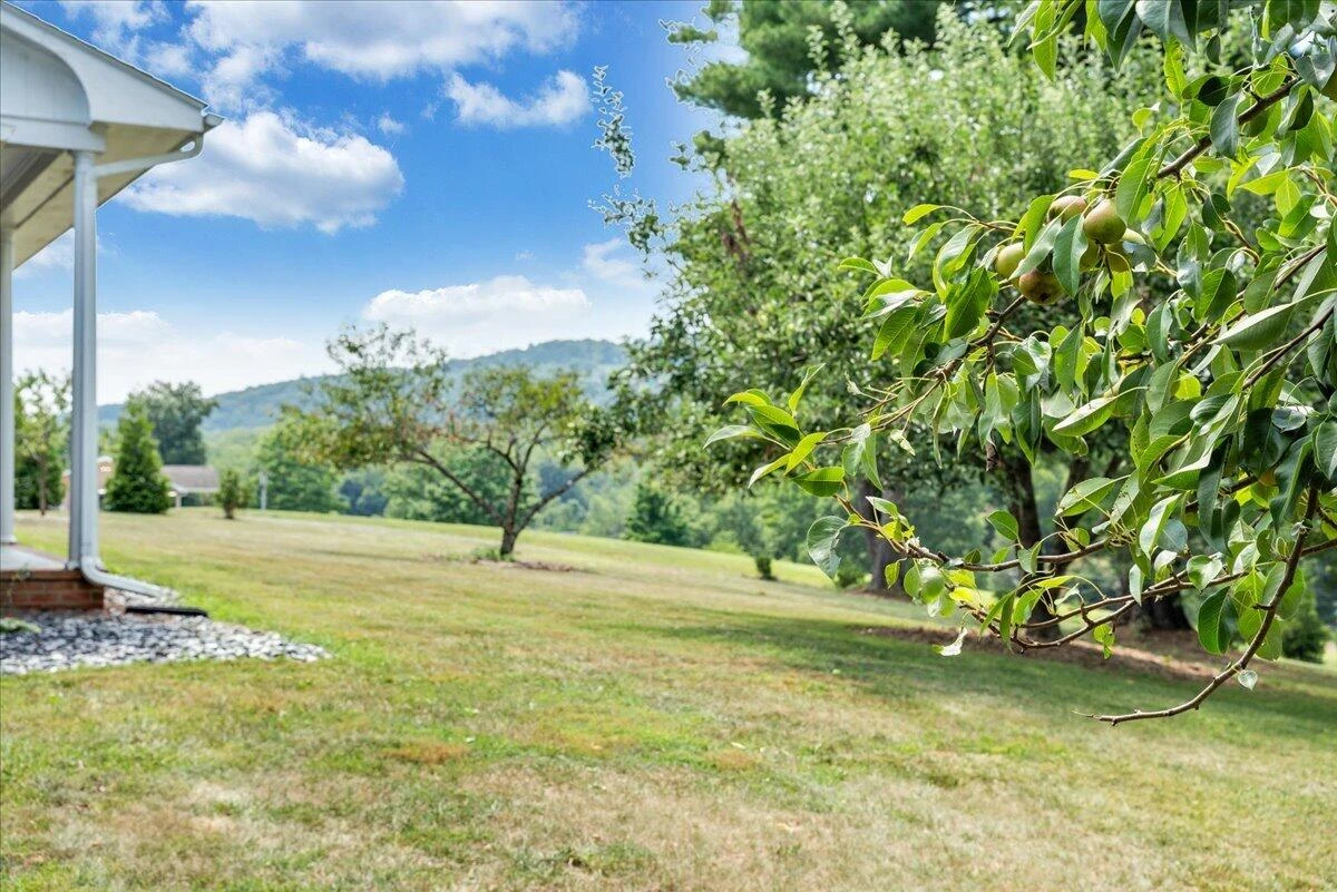 1125 Loyds Store RD - Photo 87
