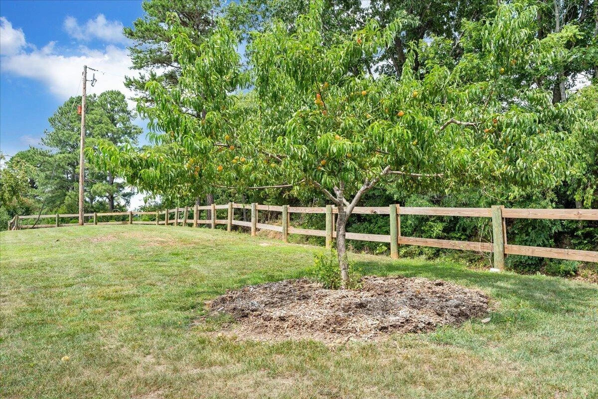 1125 Loyds Store RD - Photo 92