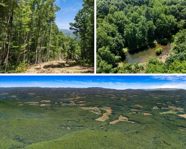000 Blue Deer Run NW, Floyd, VA, 24091