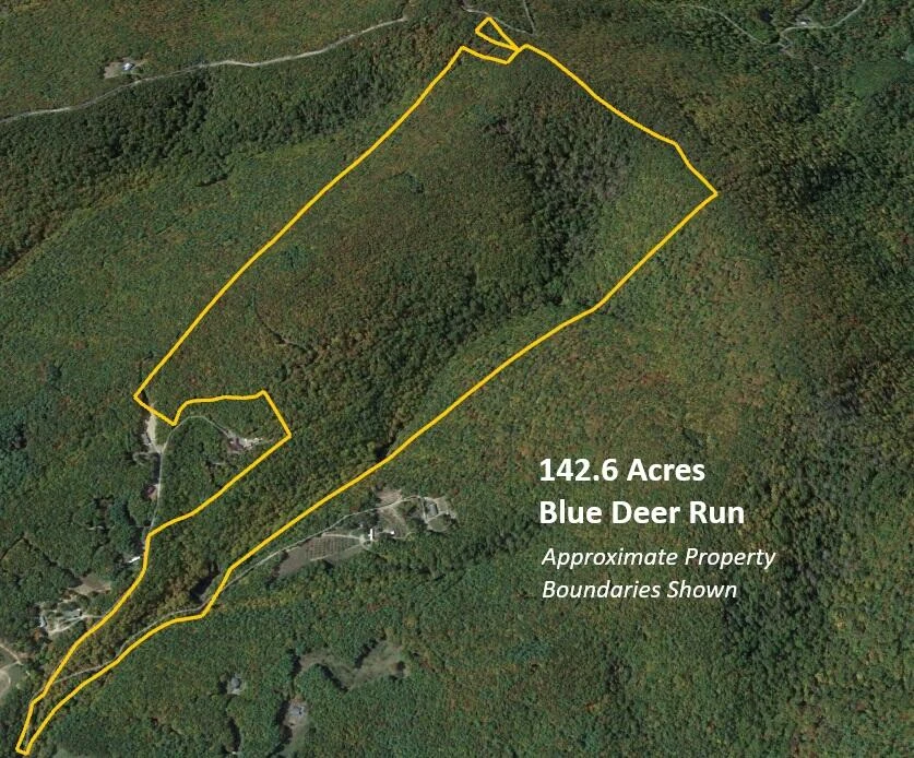 000 Blue Deer Run NW - Photo 4