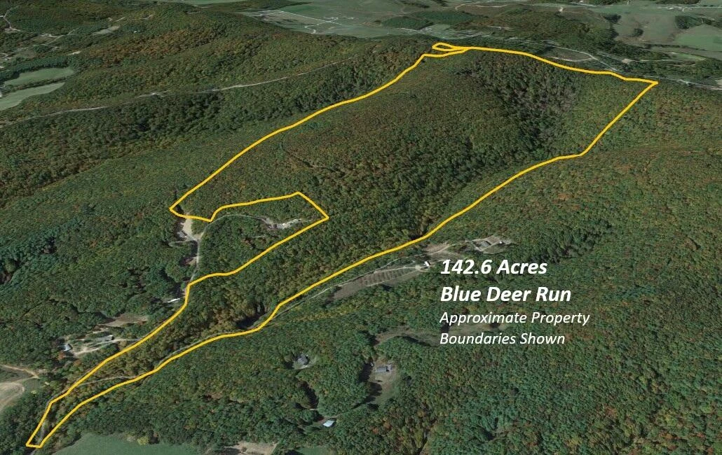 000 Blue Deer Run NW - Photo 5