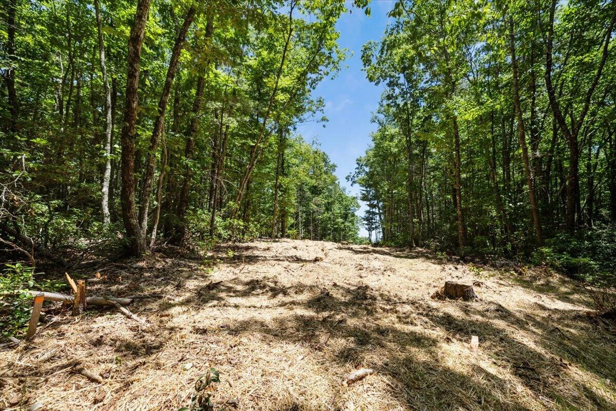 000 Blue Deer Run NW - Photo 11