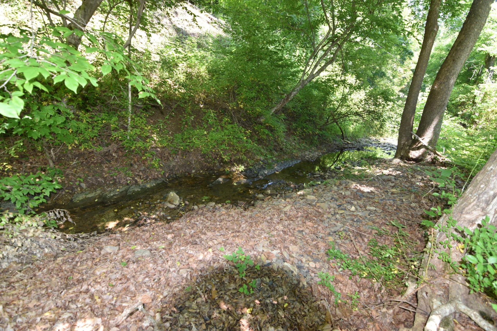 326 Rogers RD - Photo 31