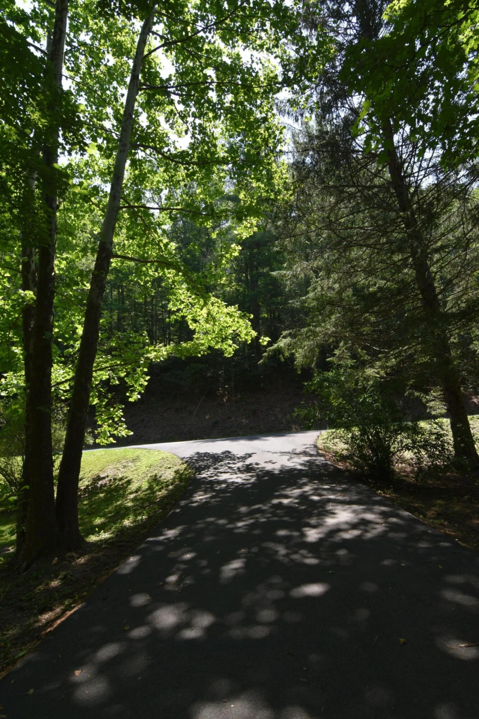 326 Rogers RD - Photo 5