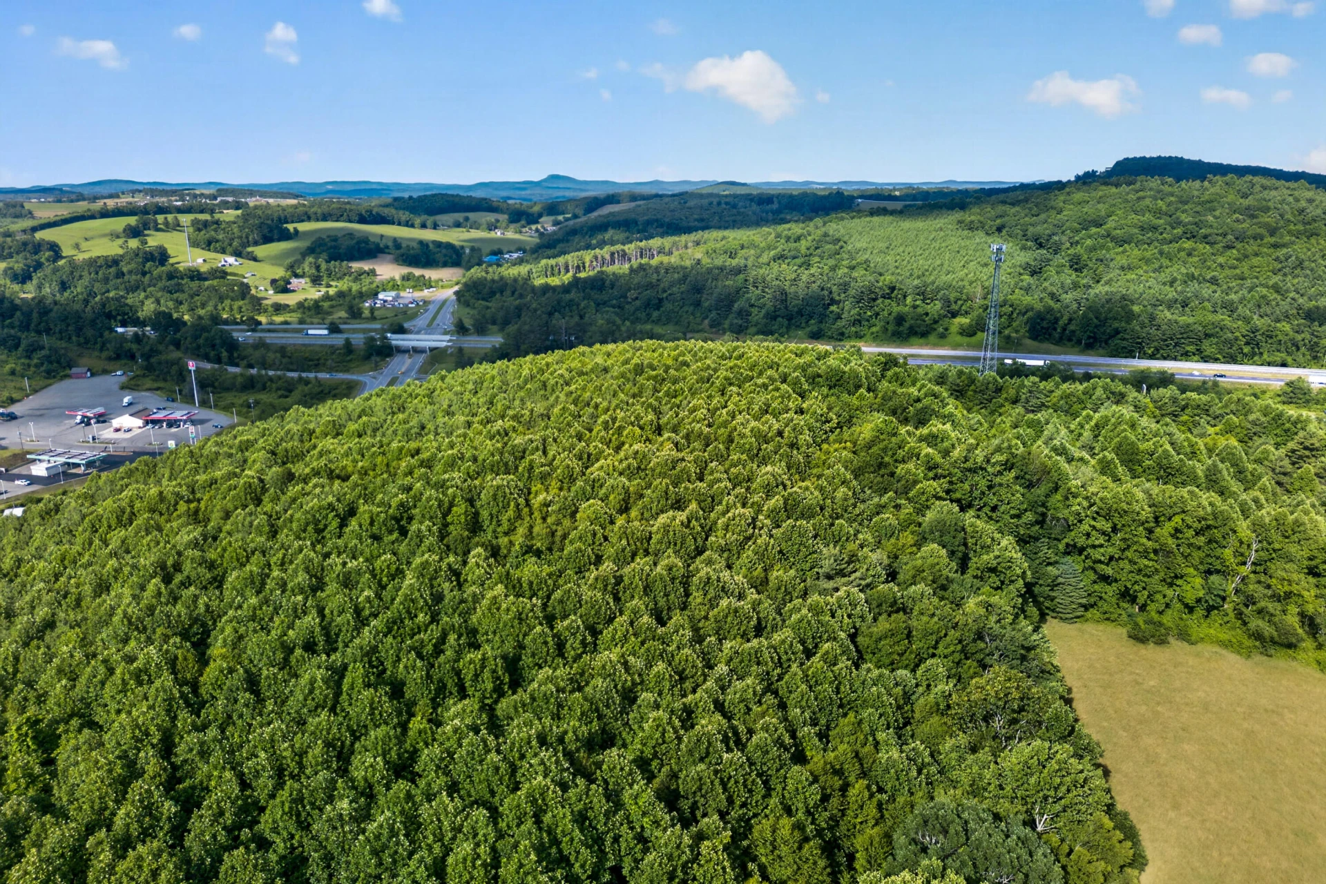 6196 Chances Creek RD - Photo 12