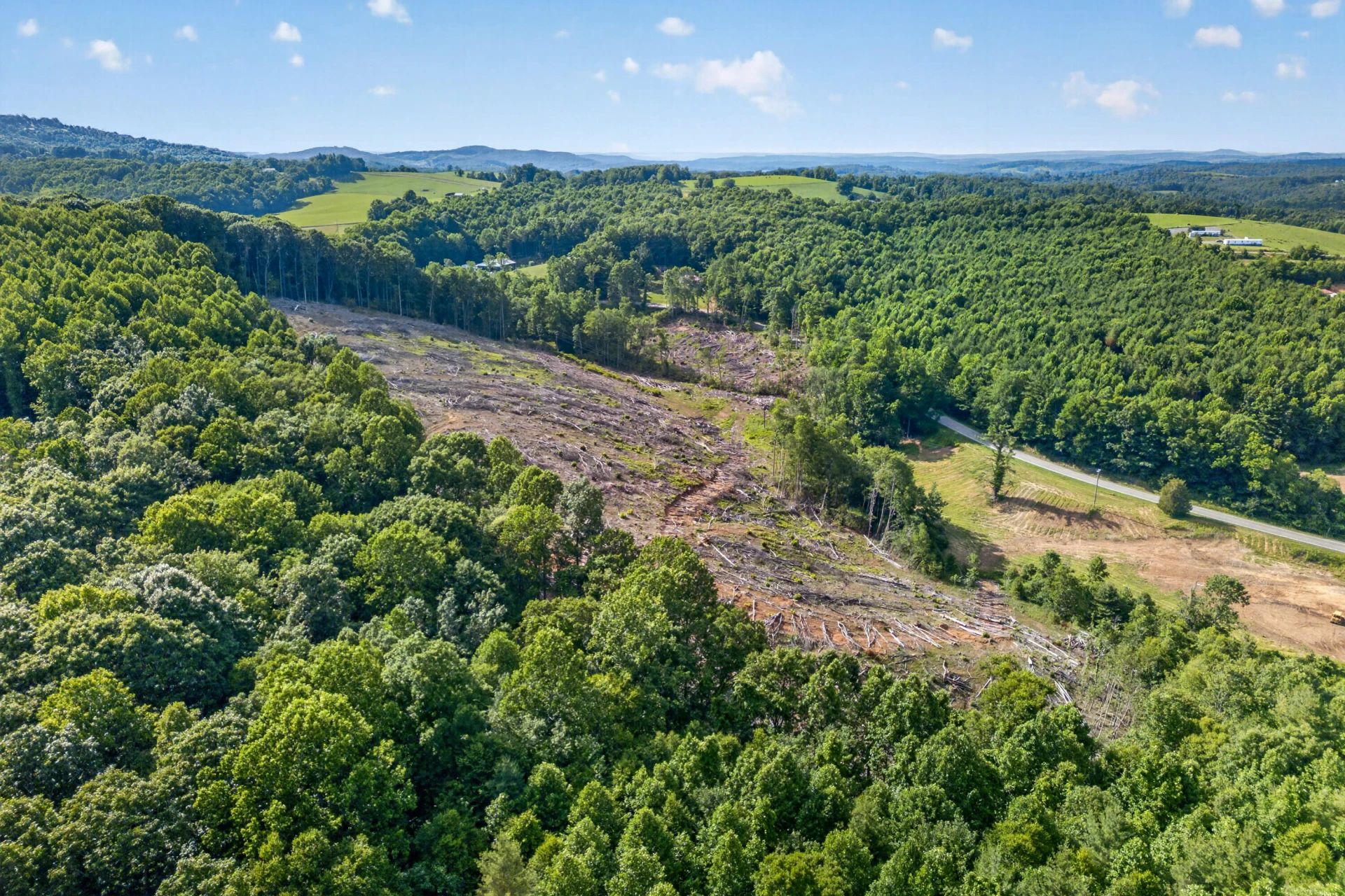 6196 Chances Creek RD - Photo 14