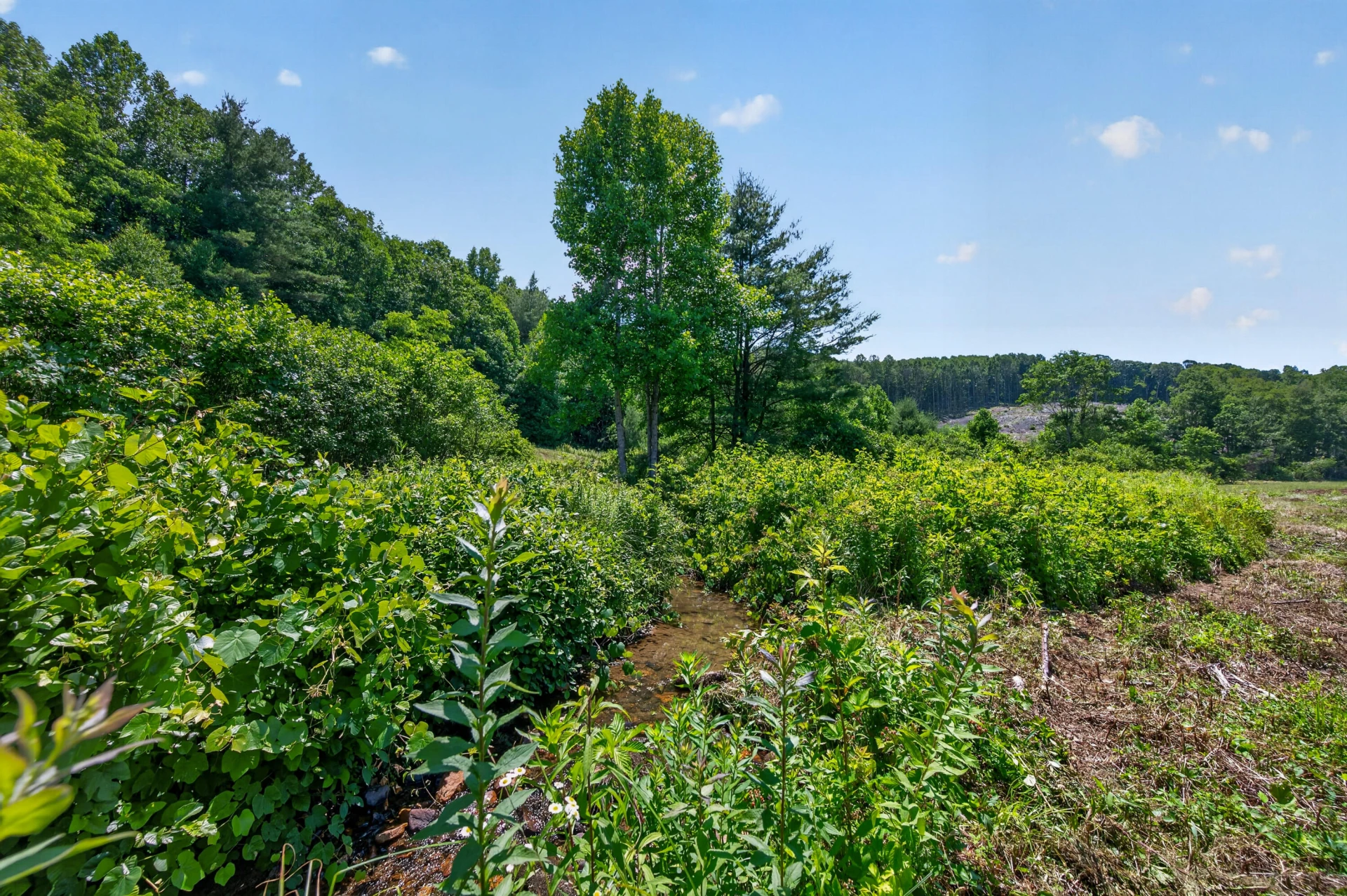 6196 Chances Creek RD - Photo 24