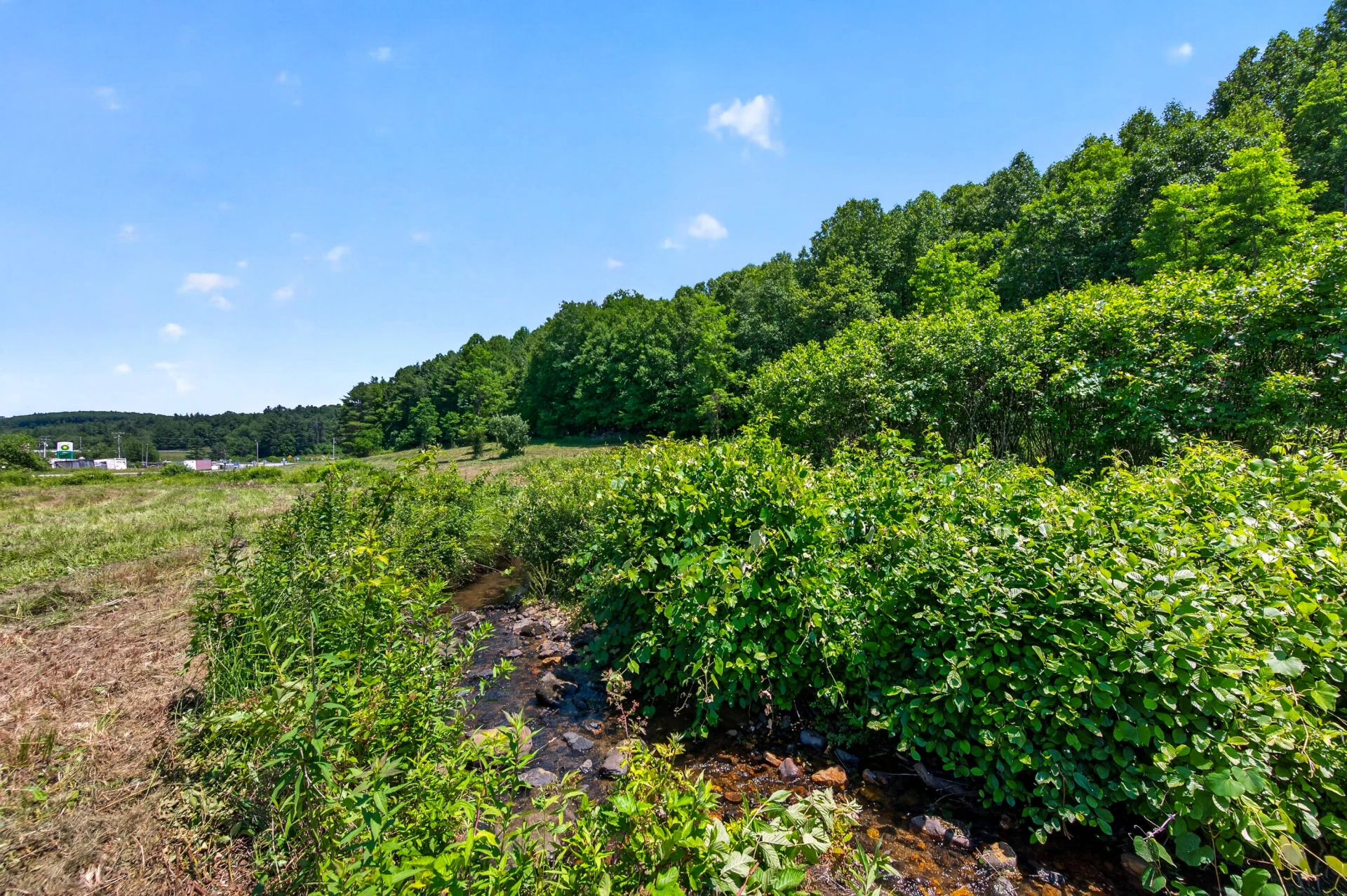 6196 Chances Creek RD - Photo 25