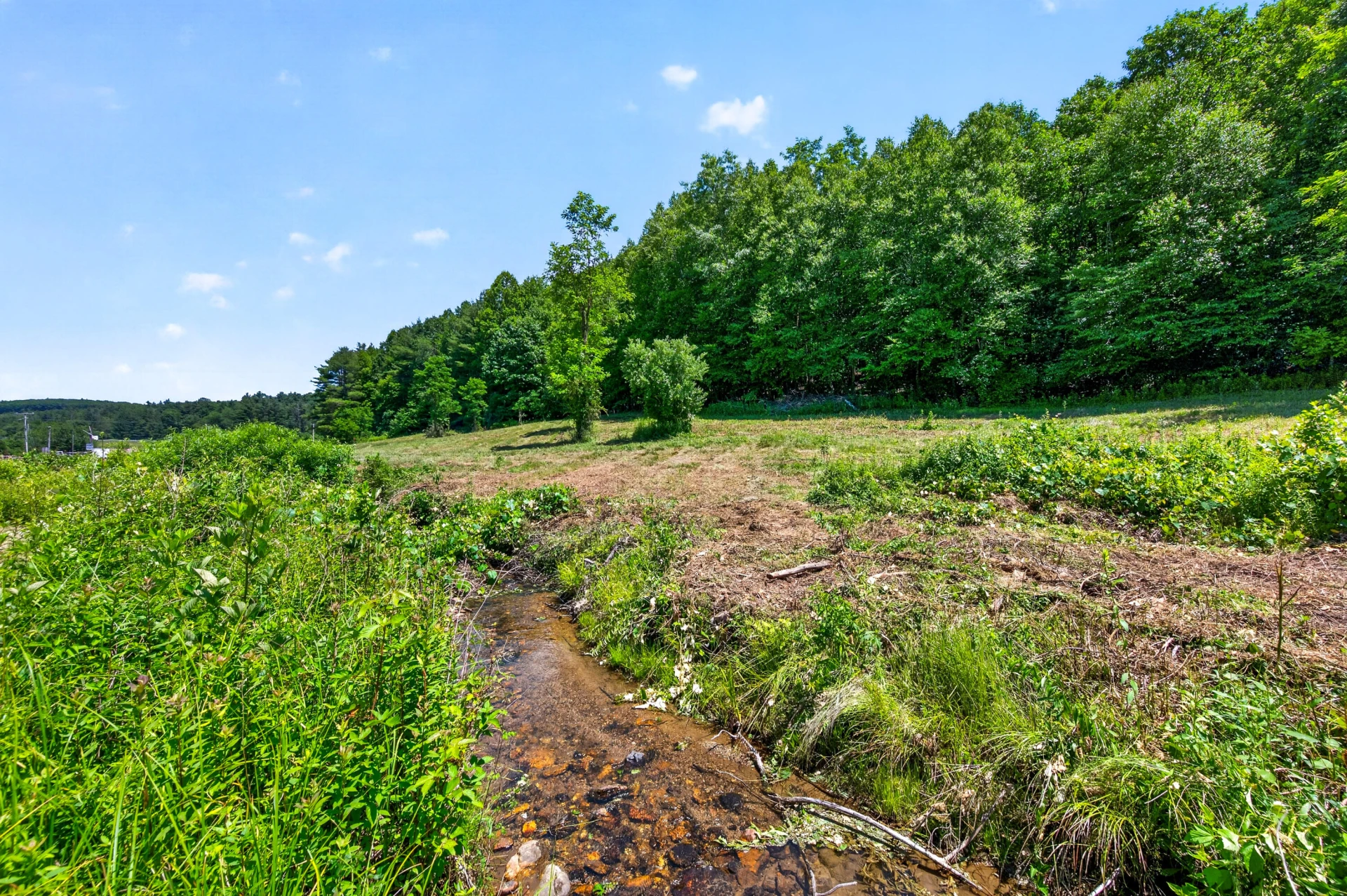 6196 Chances Creek RD - Photo 26