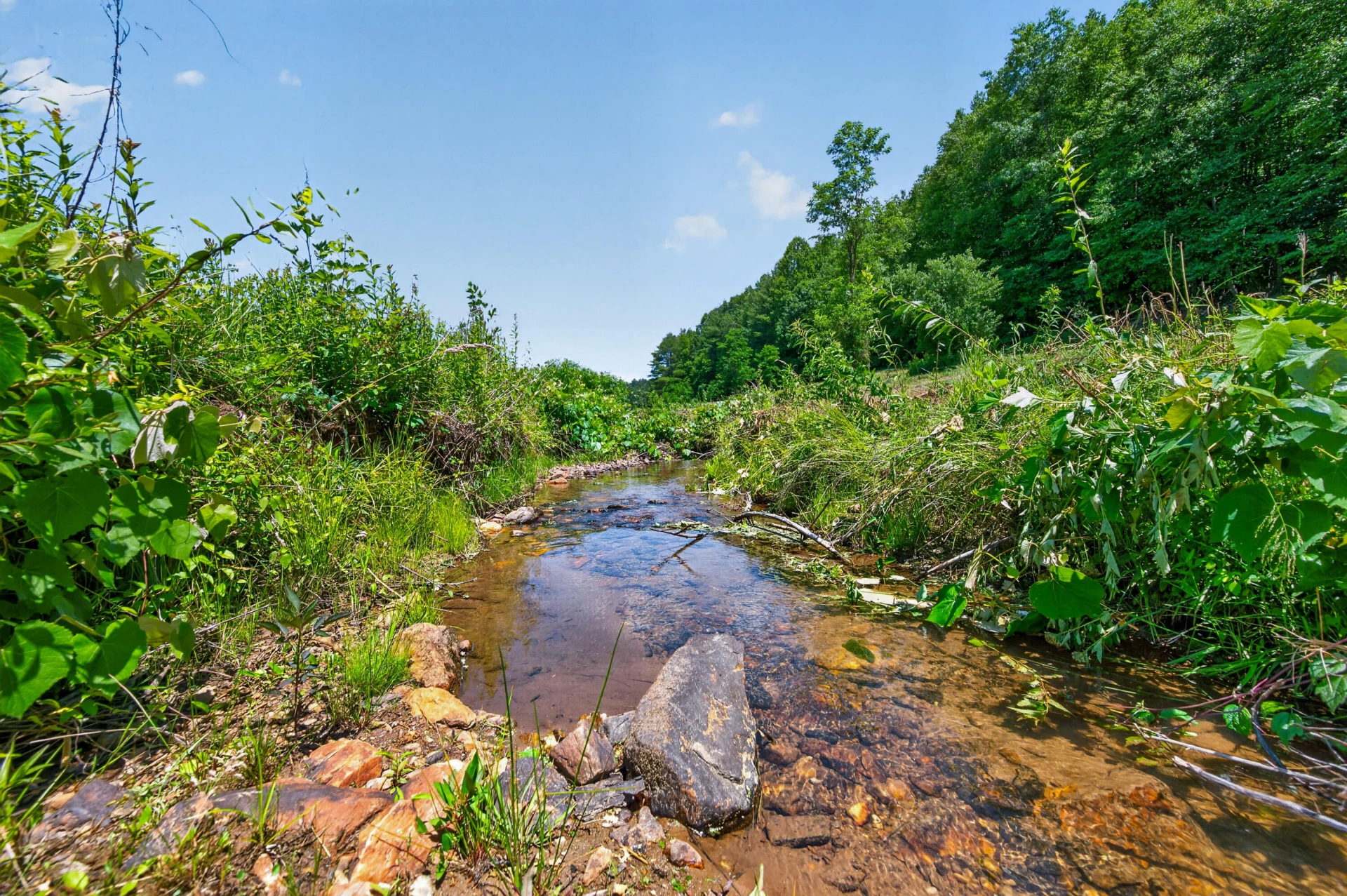 6196 Chances Creek RD - Photo 27
