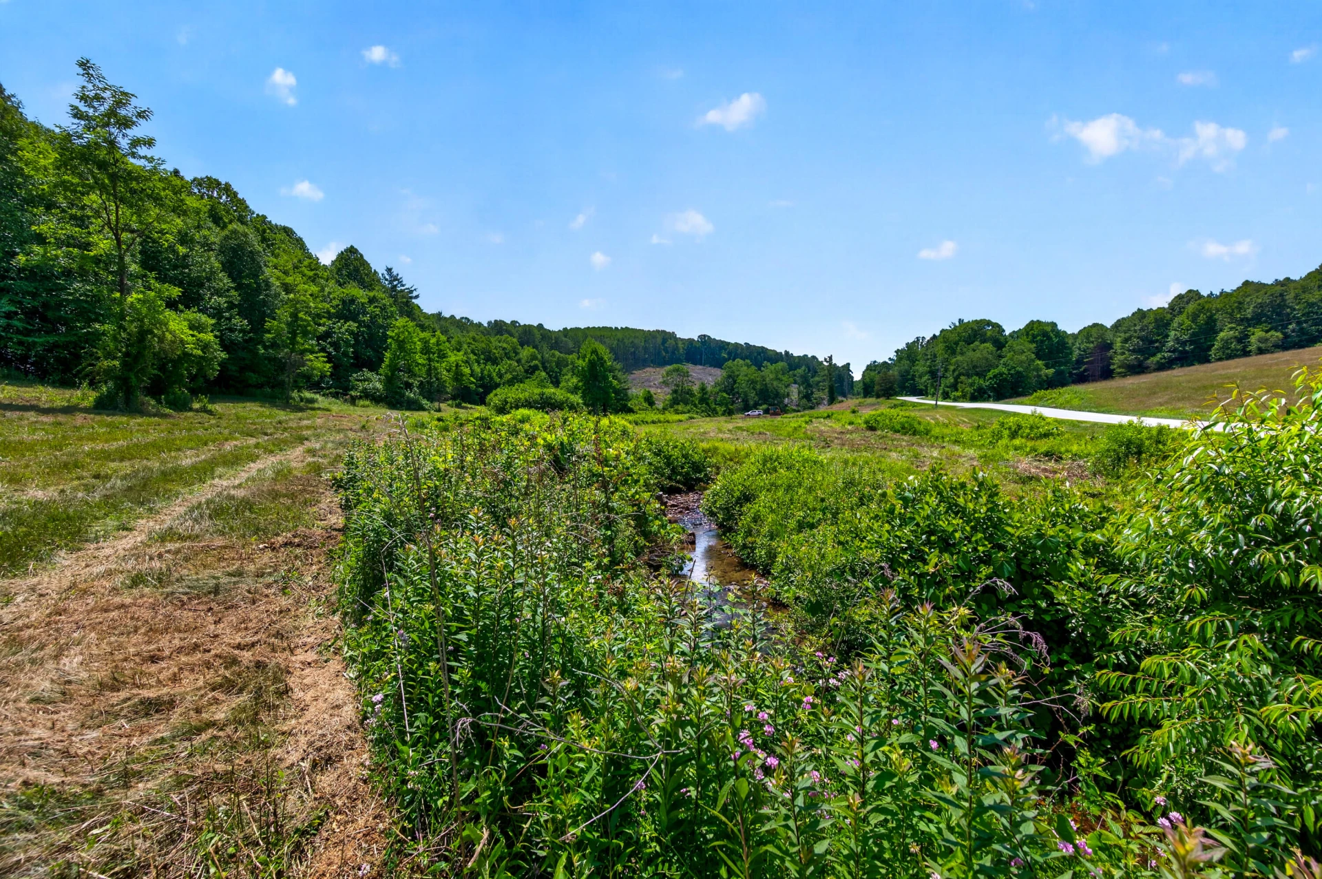6196 Chances Creek RD - Photo 28