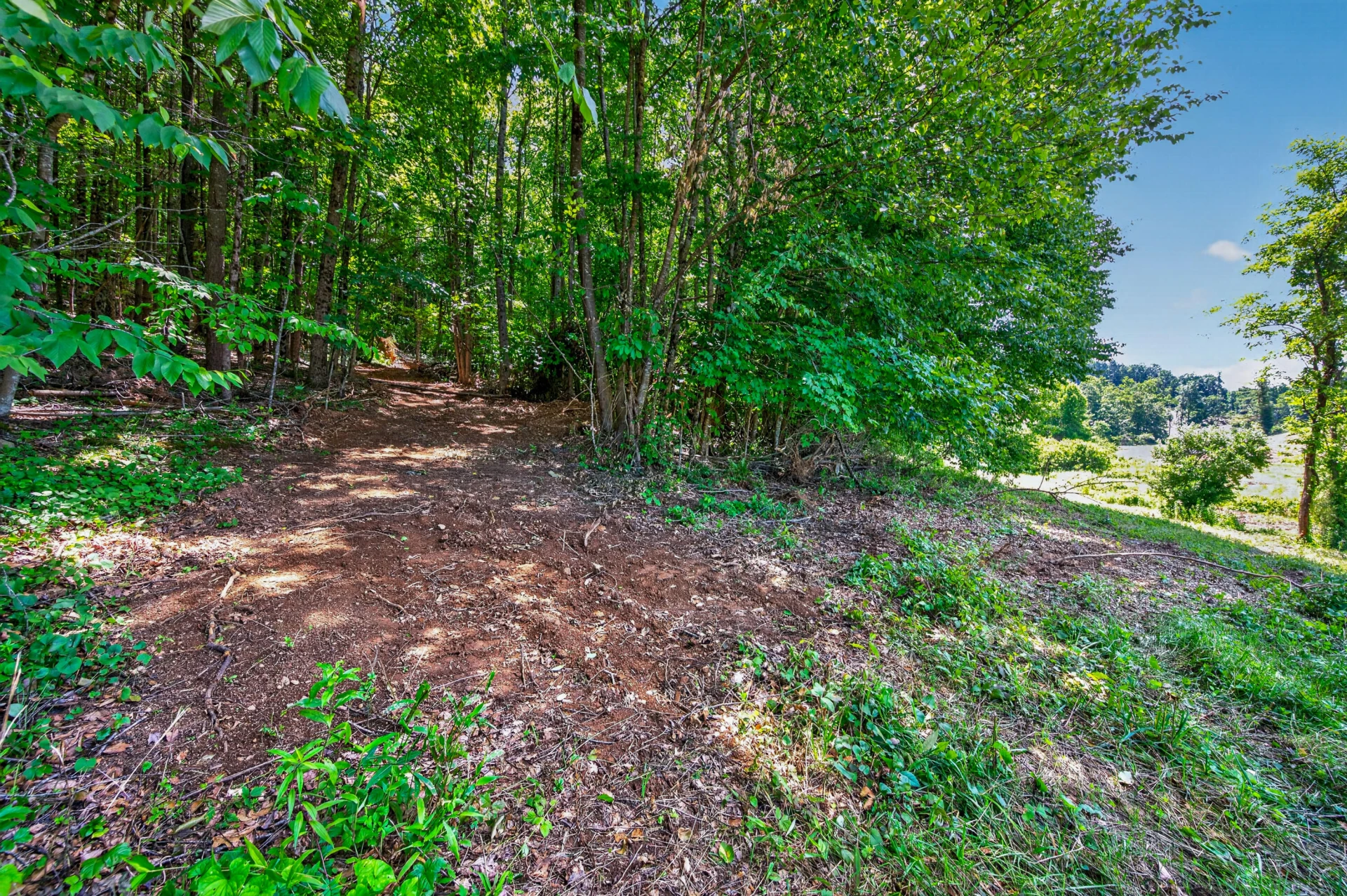 6196 Chances Creek RD - Photo 37