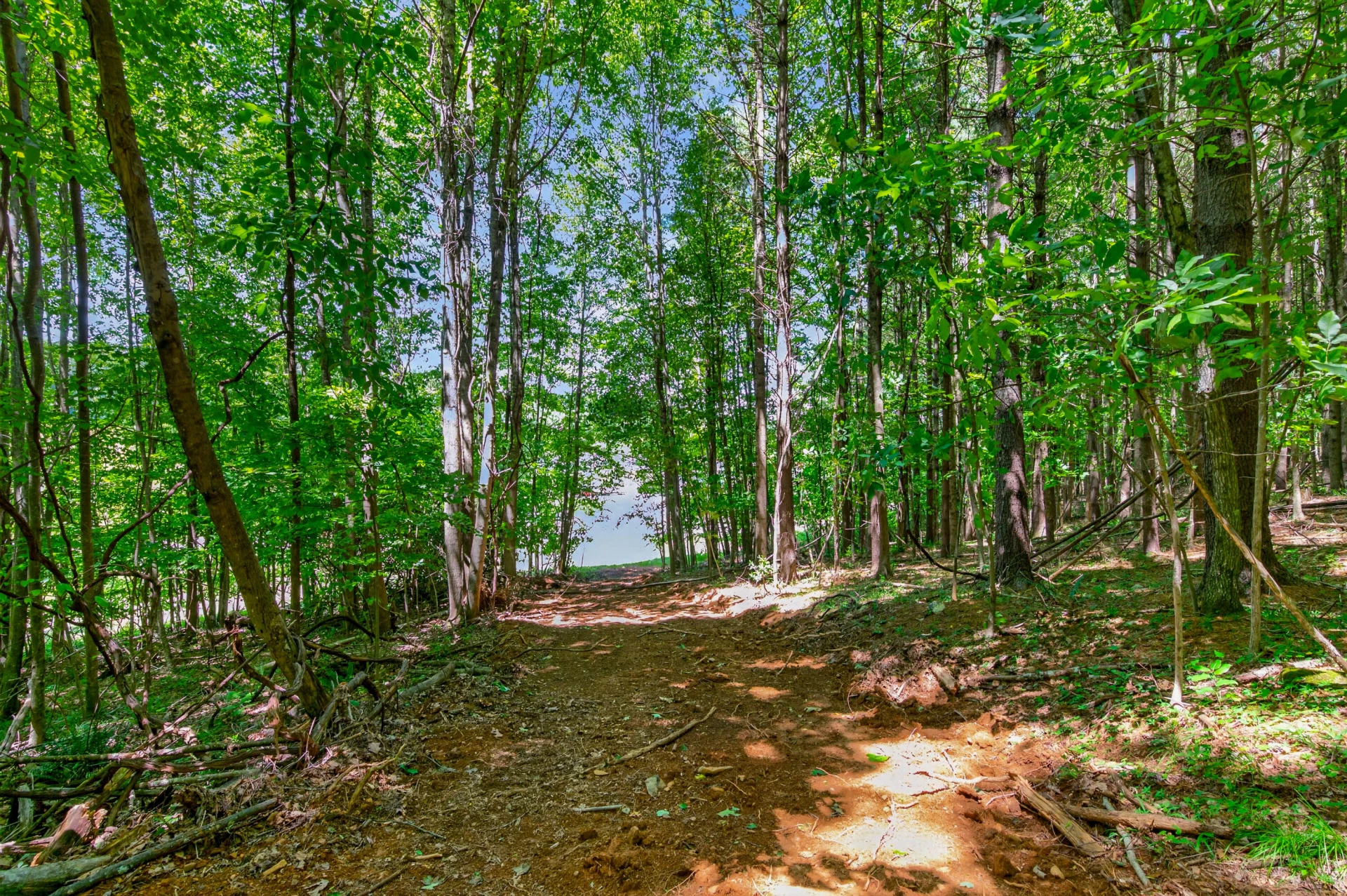 6196 Chances Creek RD - Photo 38