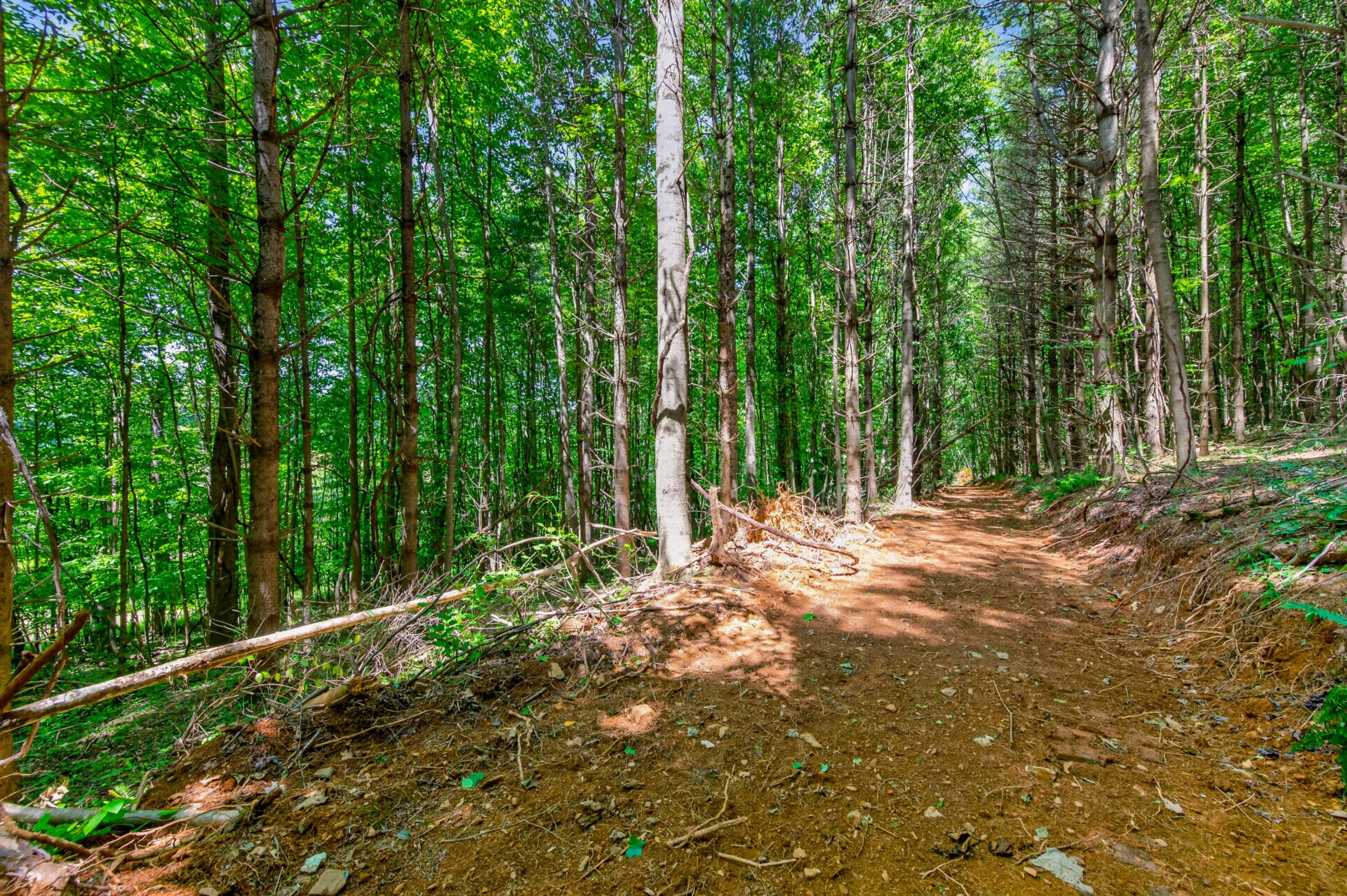 6196 Chances Creek RD - Photo 40