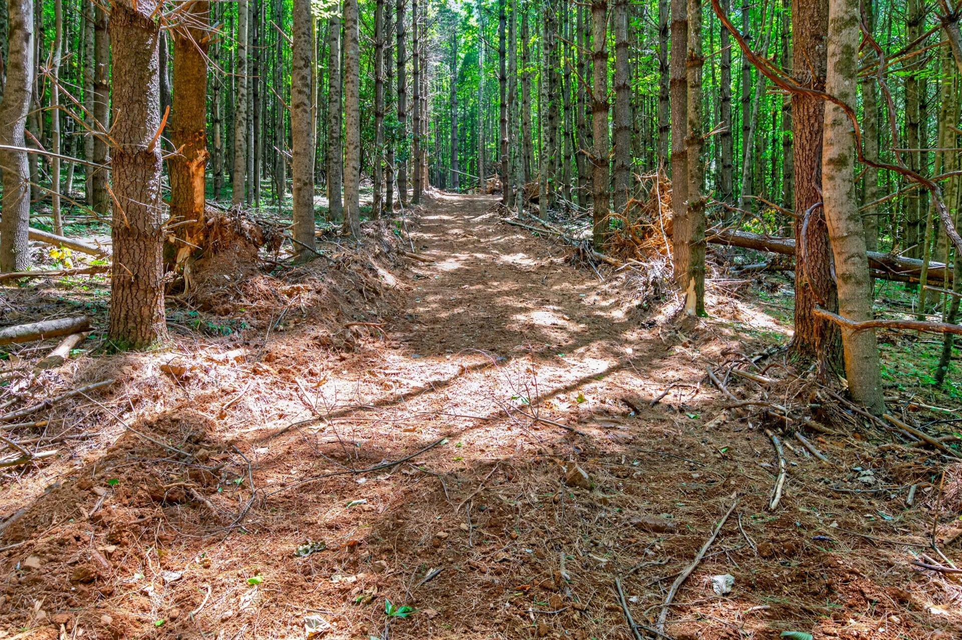 6196 Chances Creek RD - Photo 41