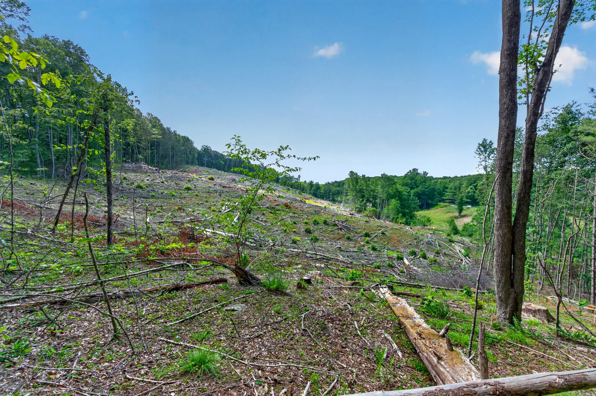 6196 Chances Creek RD - Photo 43