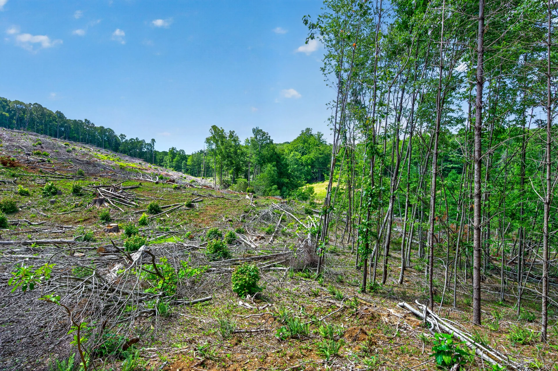 6196 Chances Creek RD - Photo 44