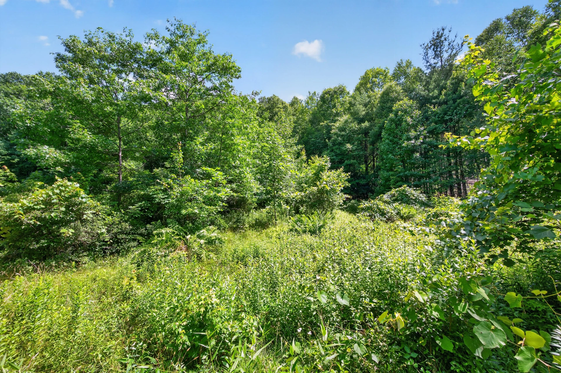 6196 Chances Creek RD - Photo 47