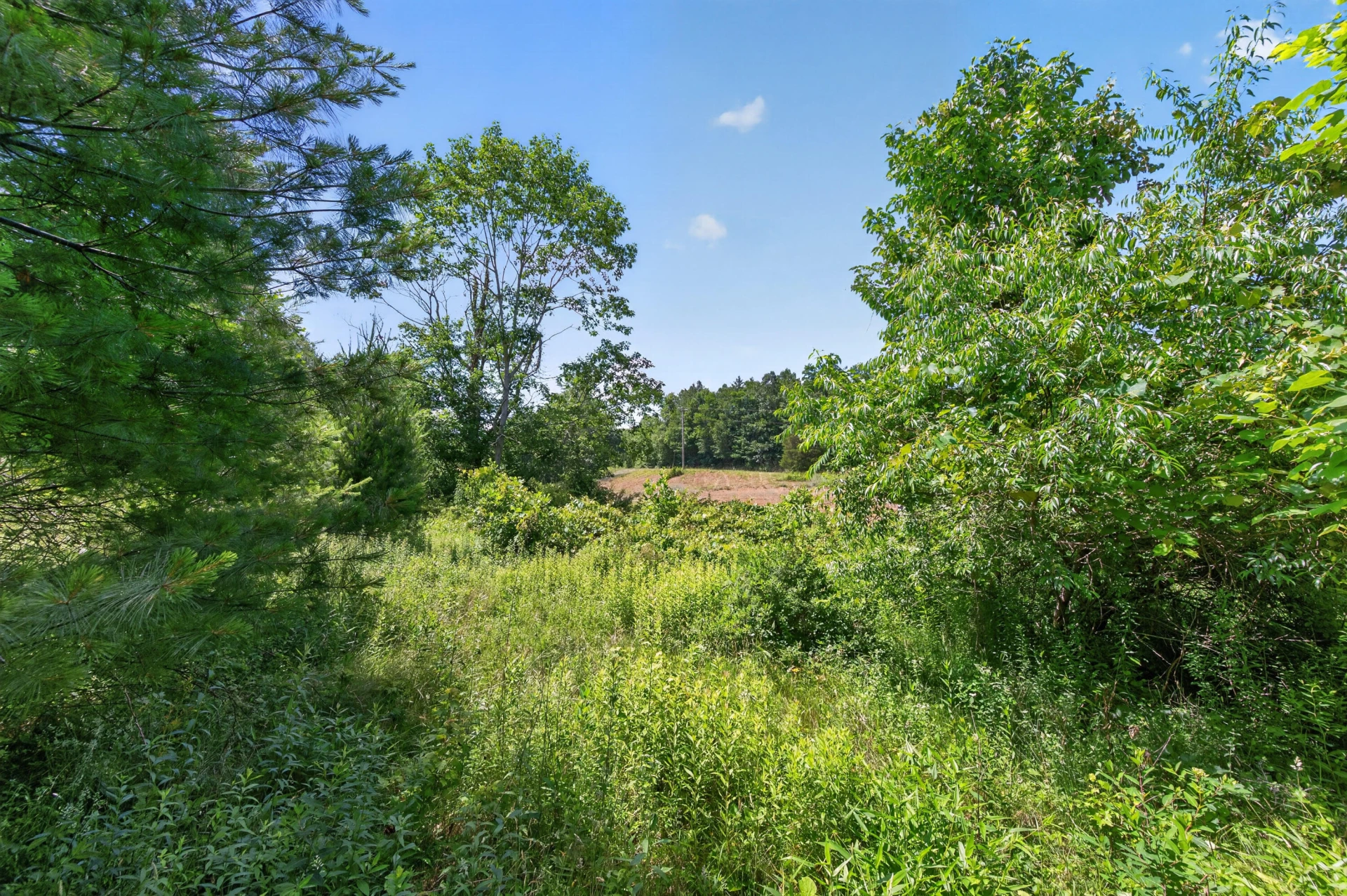 6196 Chances Creek RD - Photo 48