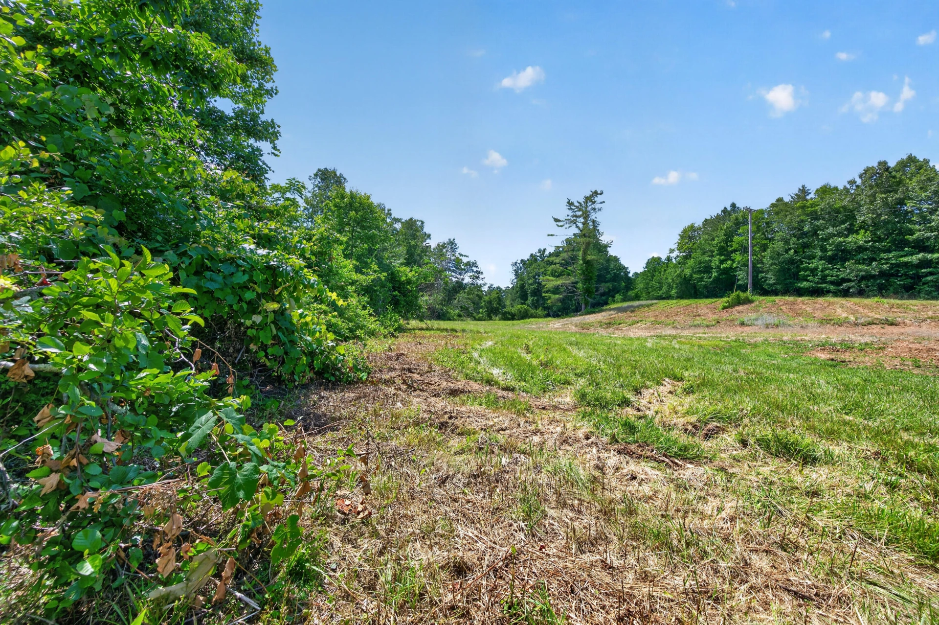 6196 Chances Creek RD - Photo 52