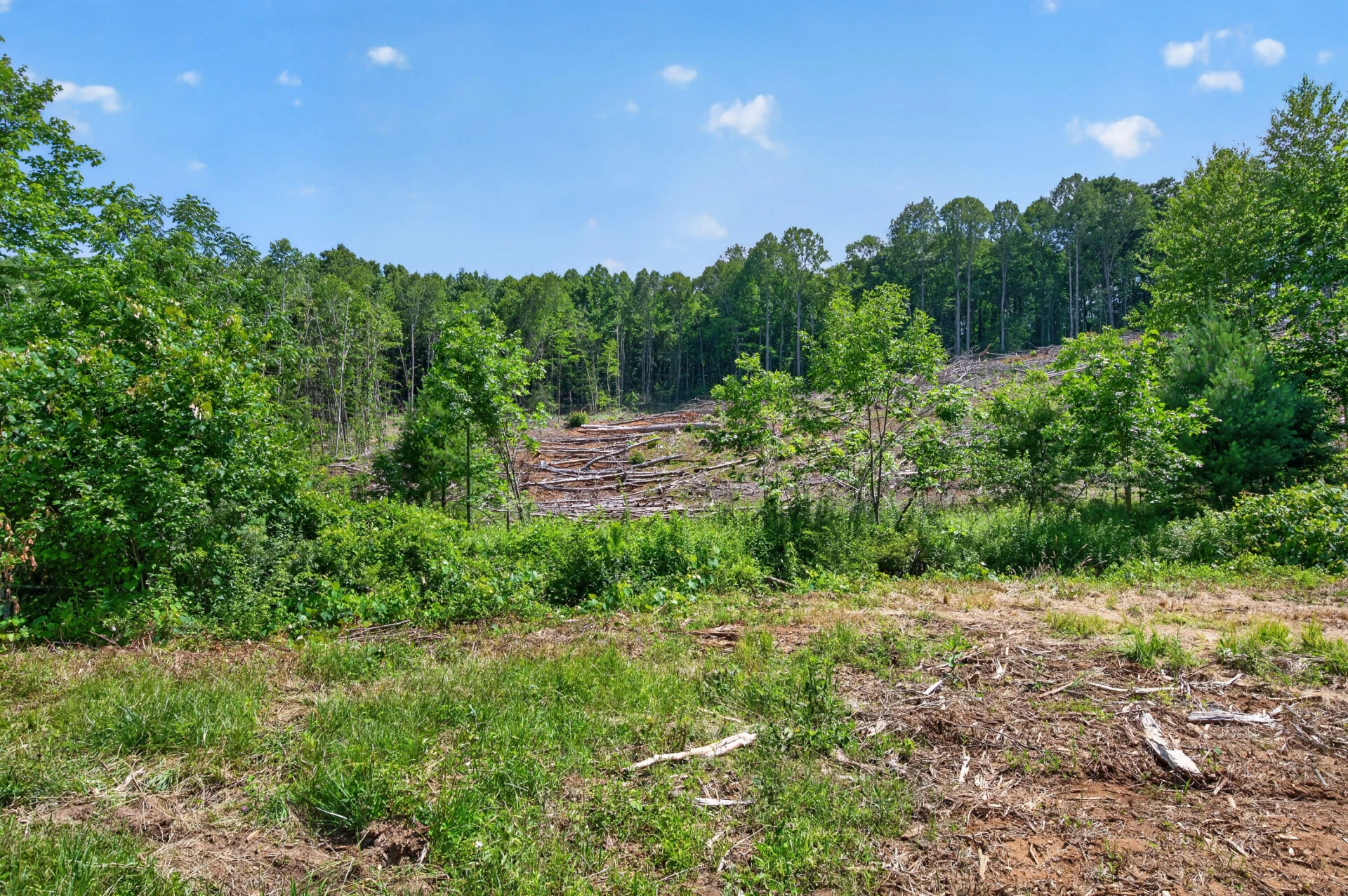 6196 Chances Creek RD - Photo 53