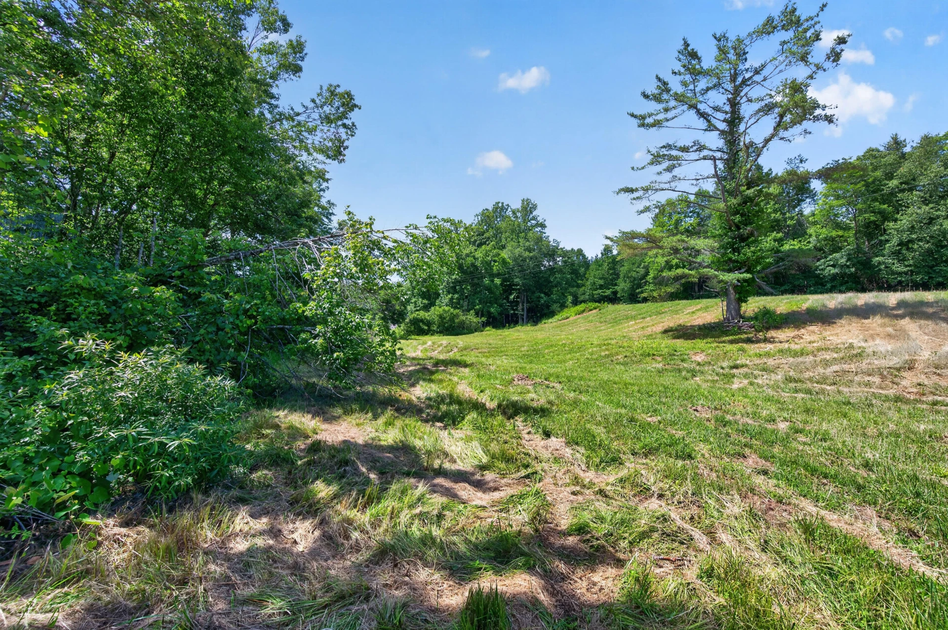 6196 Chances Creek RD - Photo 55