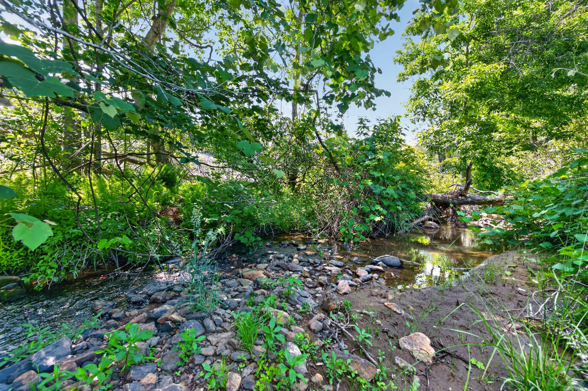 6196 Chances Creek RD - Photo 56