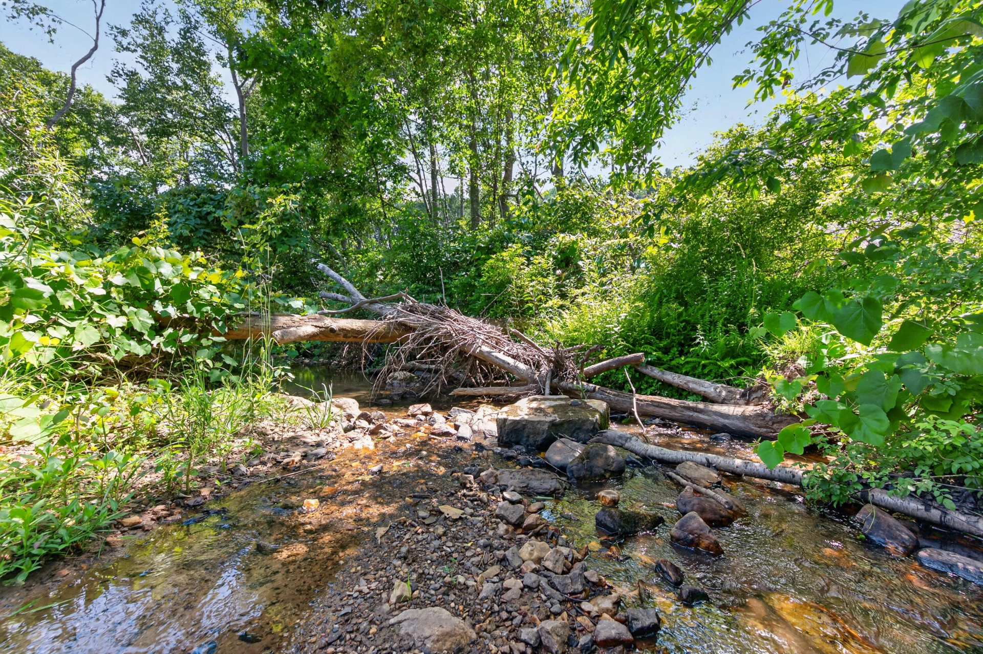 6196 Chances Creek RD - Photo 57