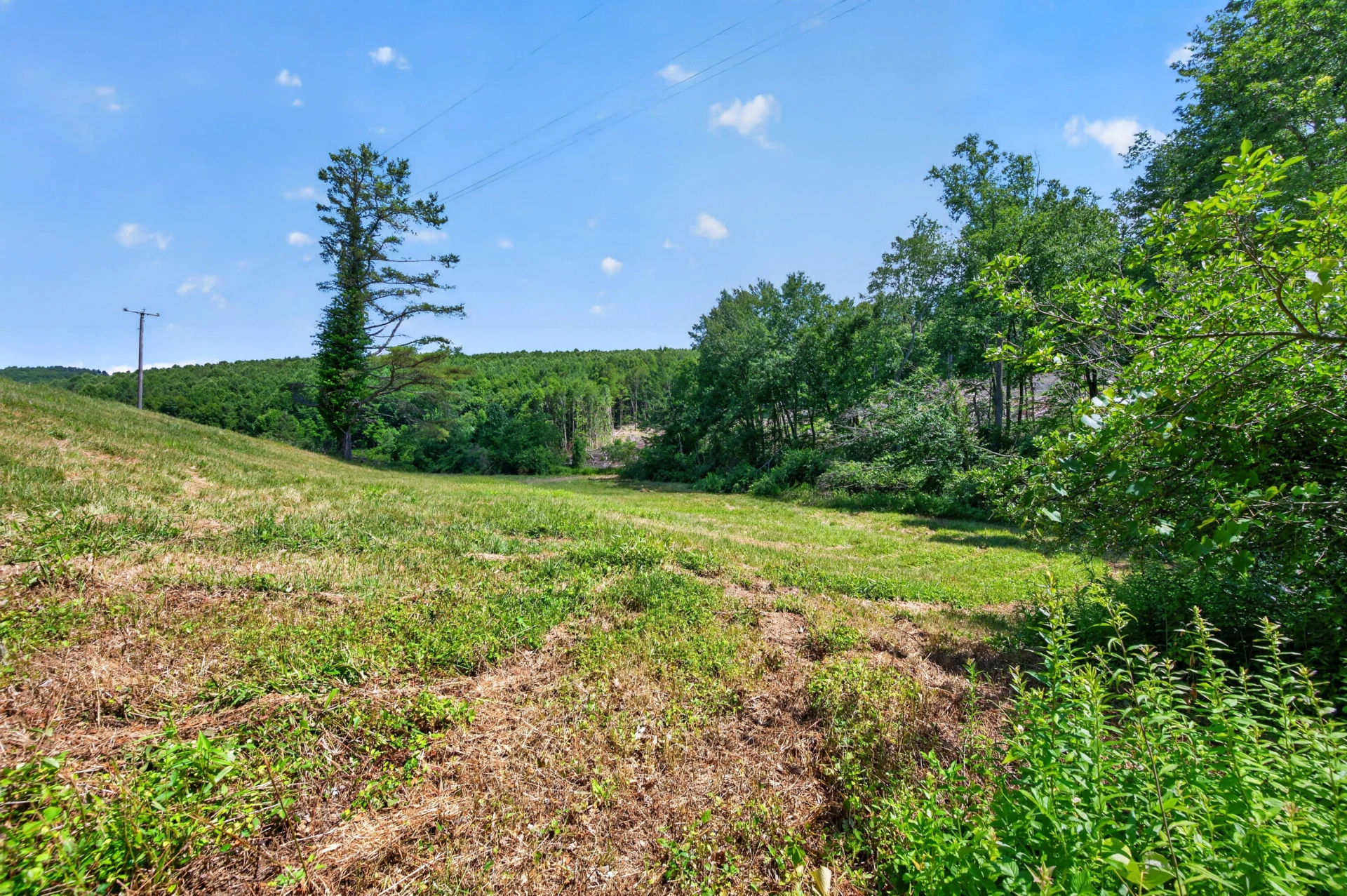 6196 Chances Creek RD - Photo 58