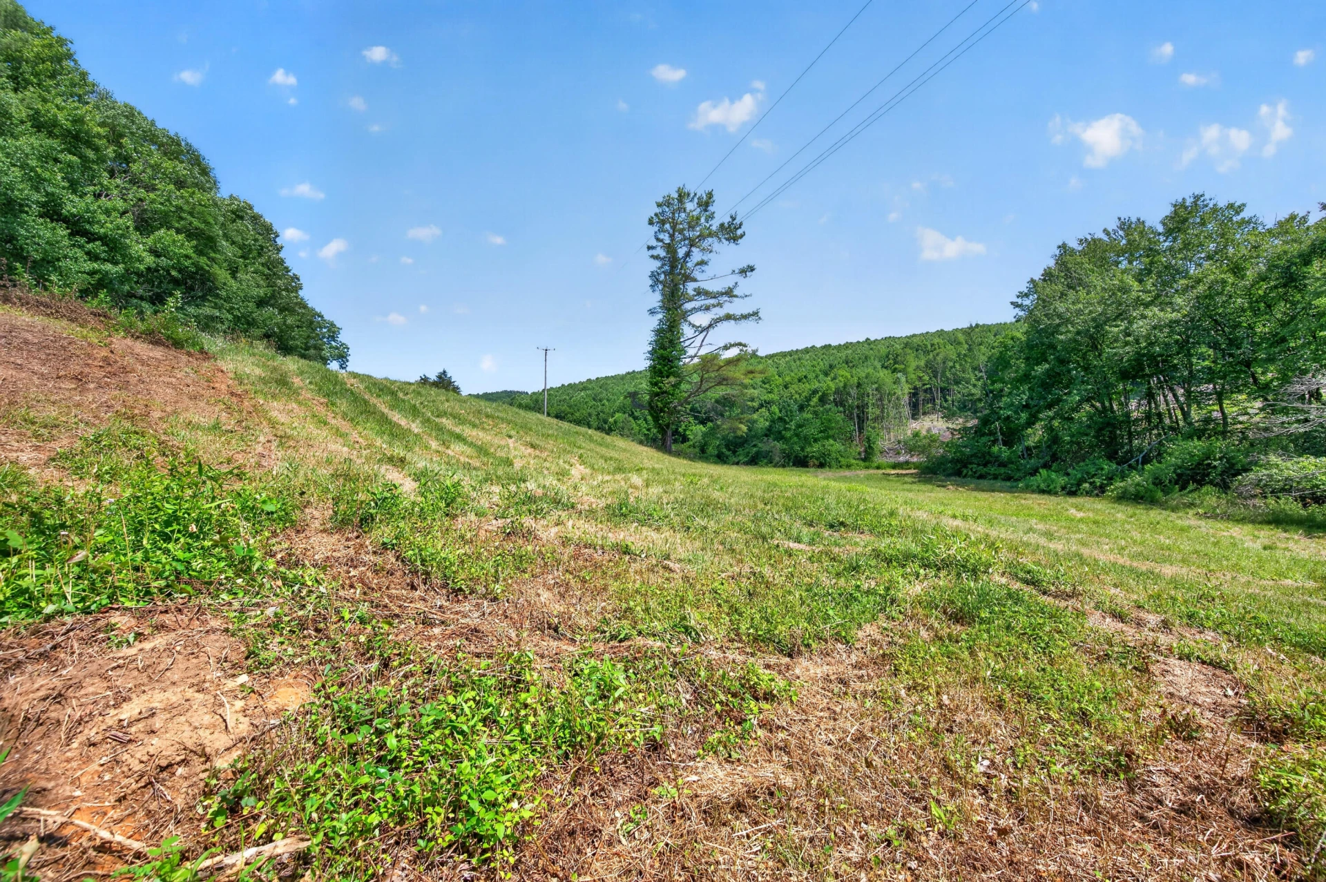 6196 Chances Creek RD - Photo 60