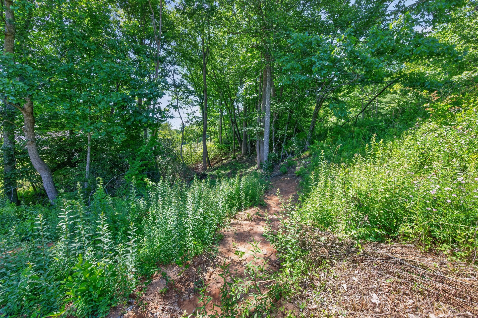 6196 Chances Creek RD - Photo 61
