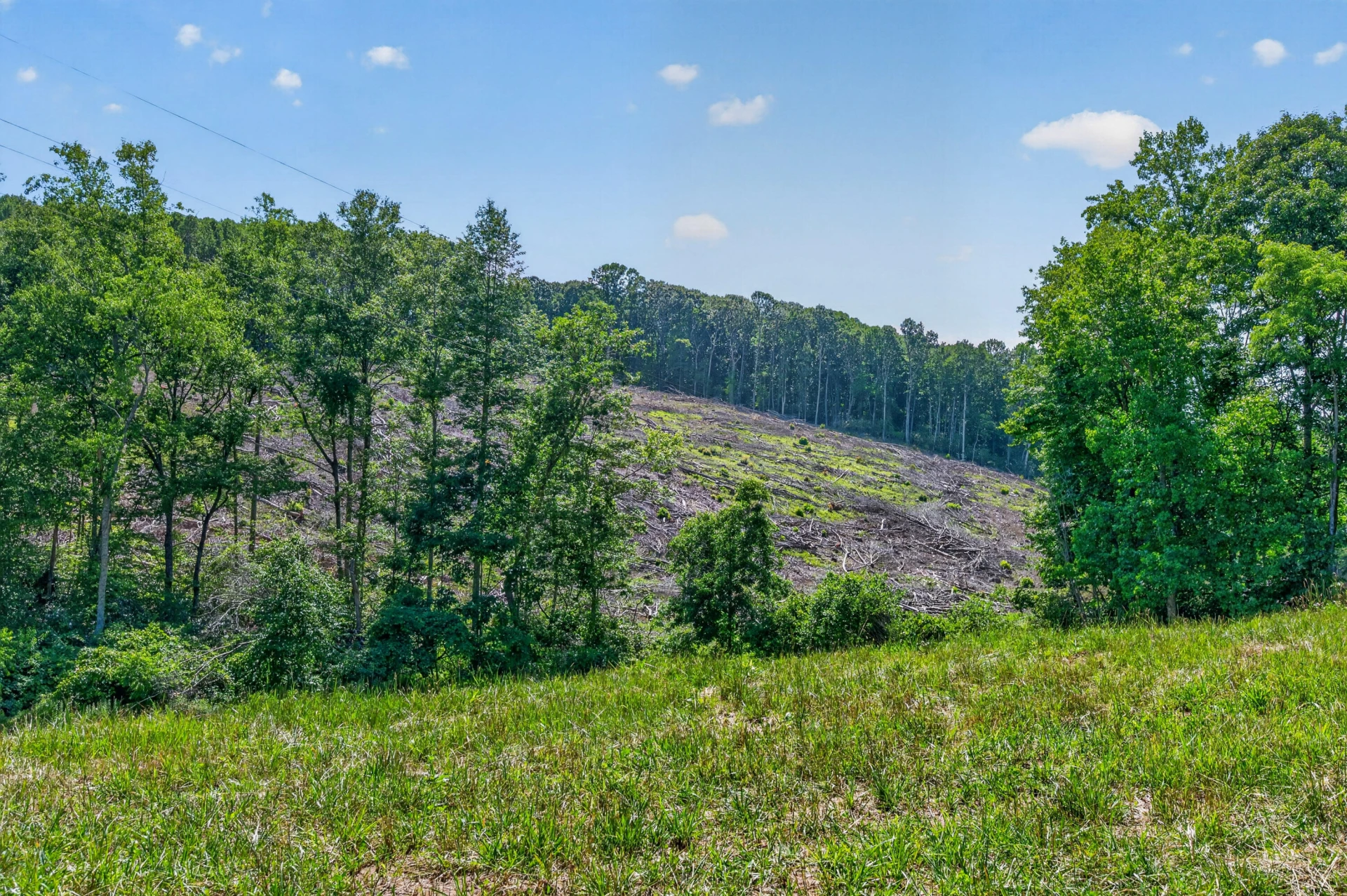 6196 Chances Creek RD - Photo 68