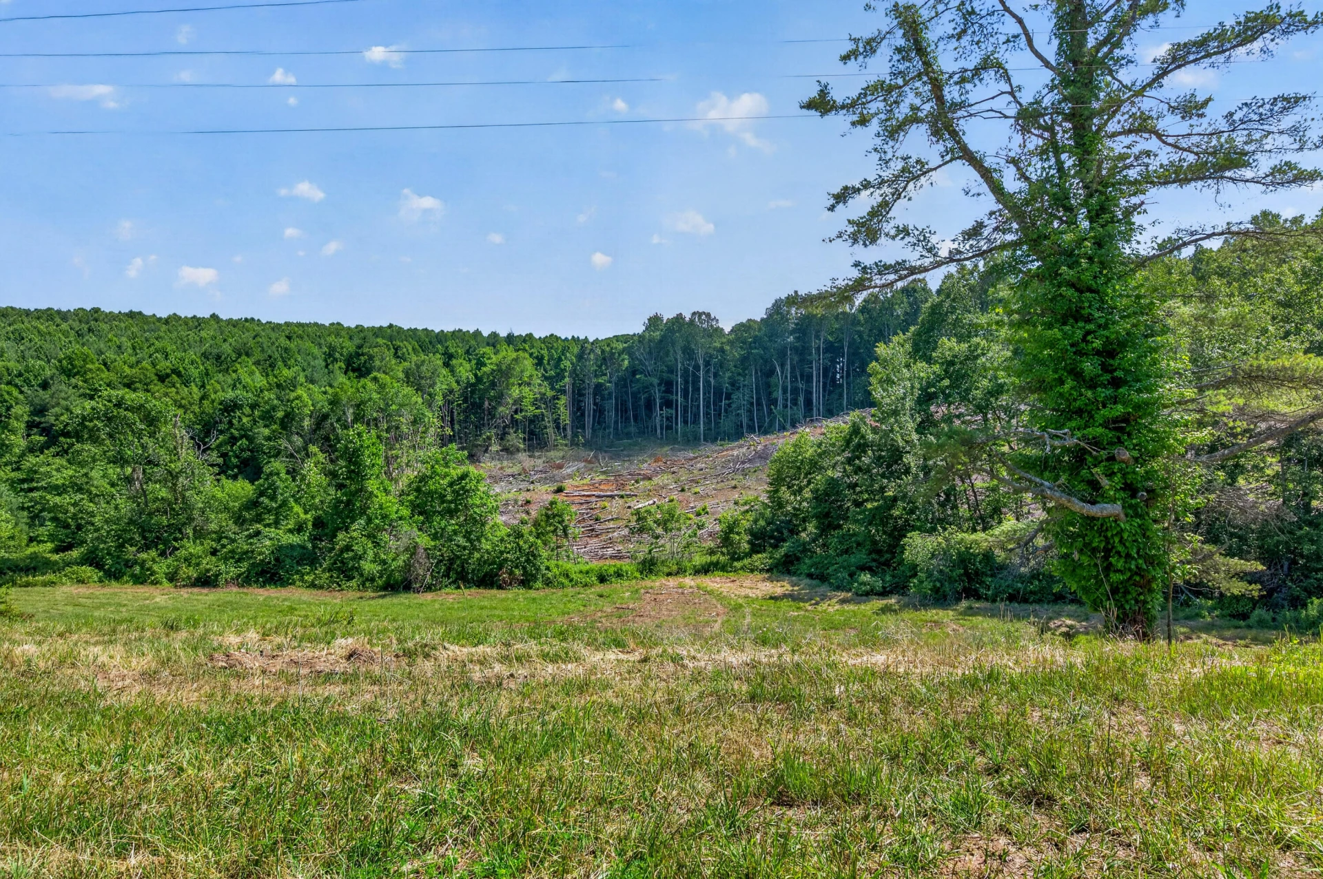 6196 Chances Creek RD - Photo 70
