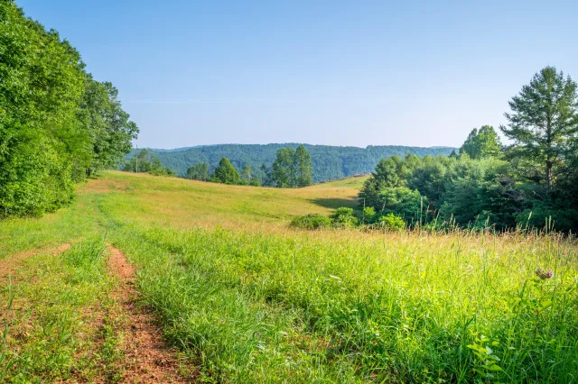 000 Fairhaven DR, Dugspur, VA, 24325
